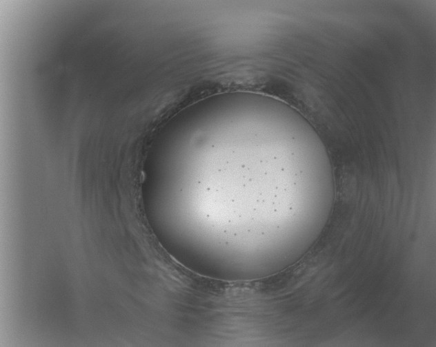 X0000059821297200511041709