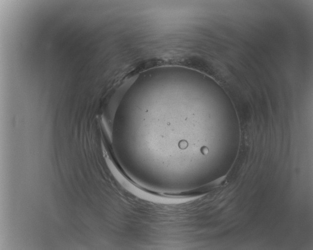 X0000059821298200511041709