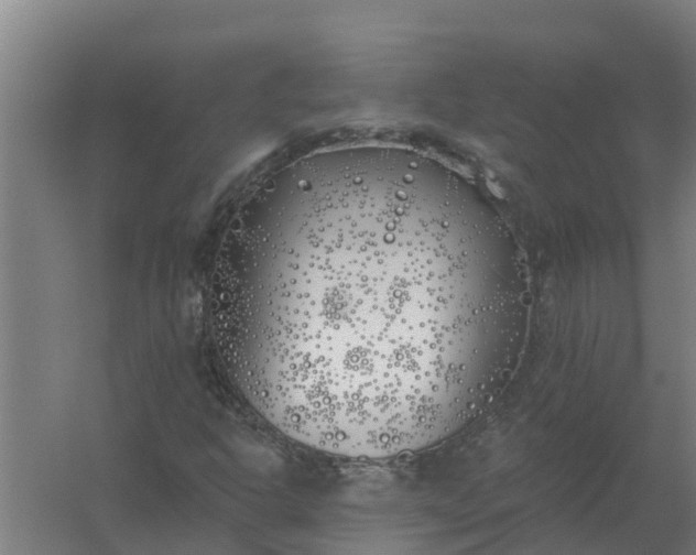 X0000059821302200511041709