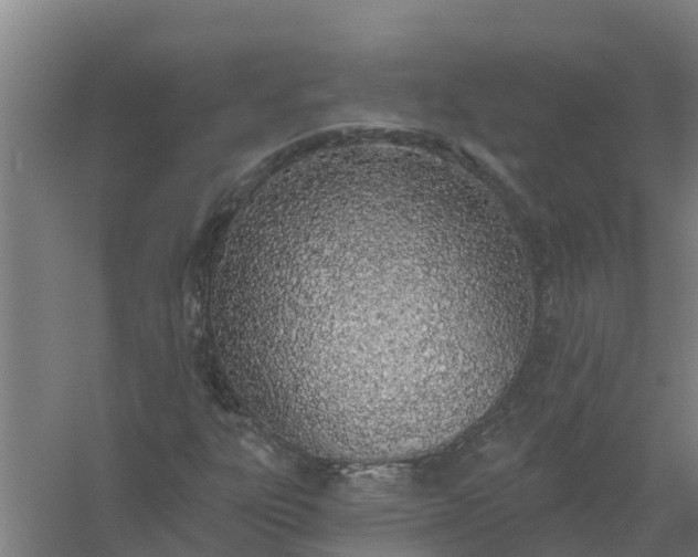 X0000059821303200511041709