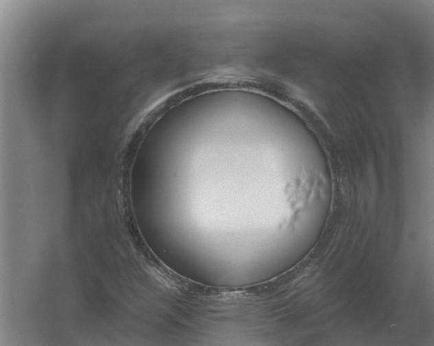 X0000059821304200511041709