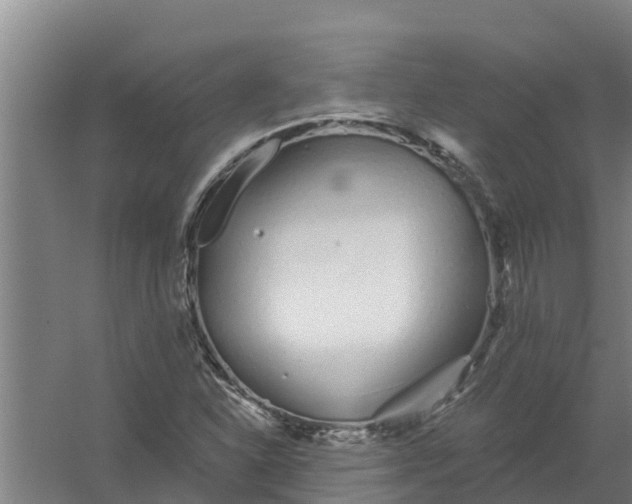 X0000059821310200511041709