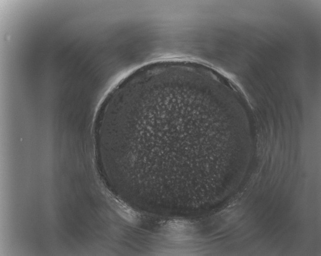 X0000059821319200511041709