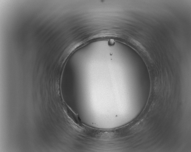 X0000059821321200511041709