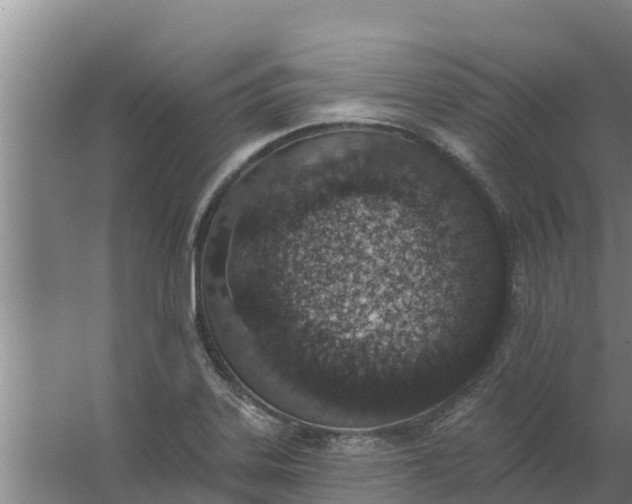 X0000059821323200511041709