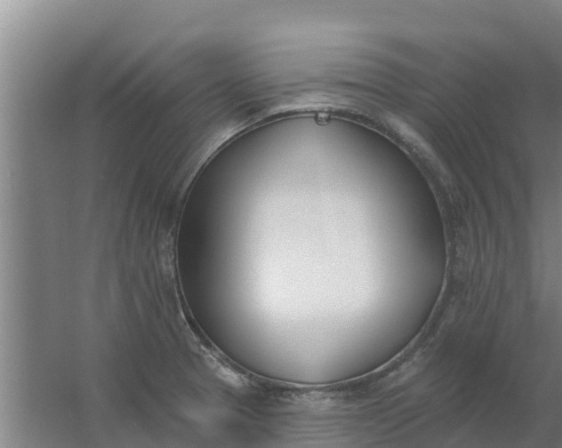 X0000059821329200511041709