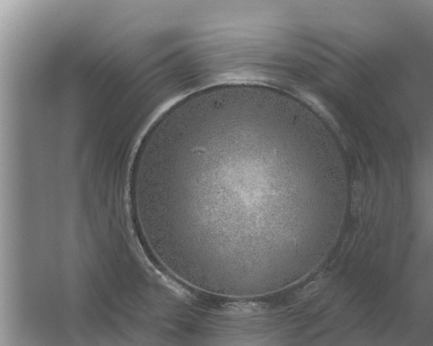 X0000059821331200511041709