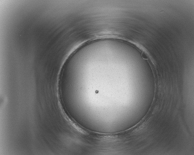 X0000059821333200511041709