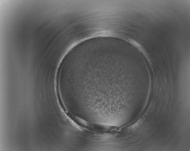 X0000059821334200511041709