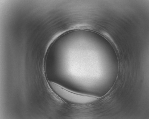 X0000059821336200511041709