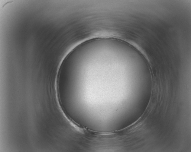 X0000059821343200511041710