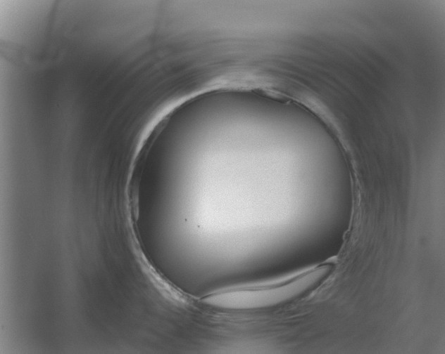 X0000059821344200511041710