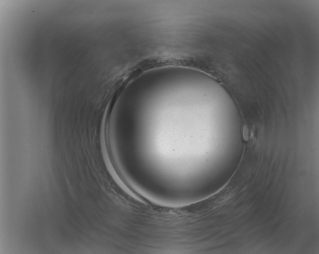 X0000059821348200511041709