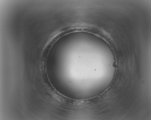 X0000059821352200511041709