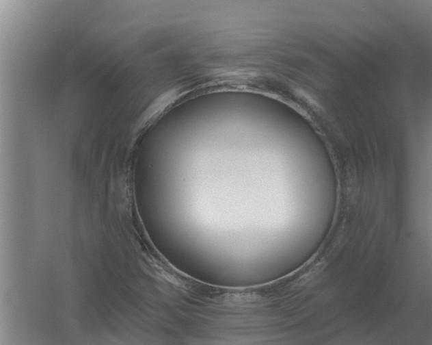 X0000059821354200511041709