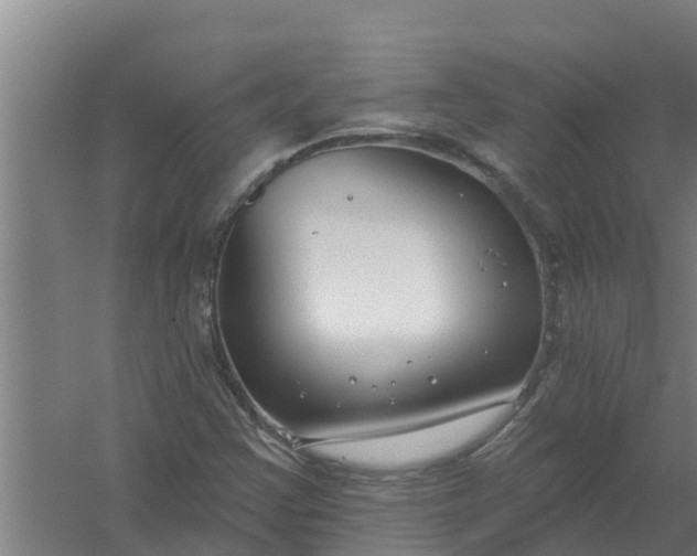 X0000059821355200511041709