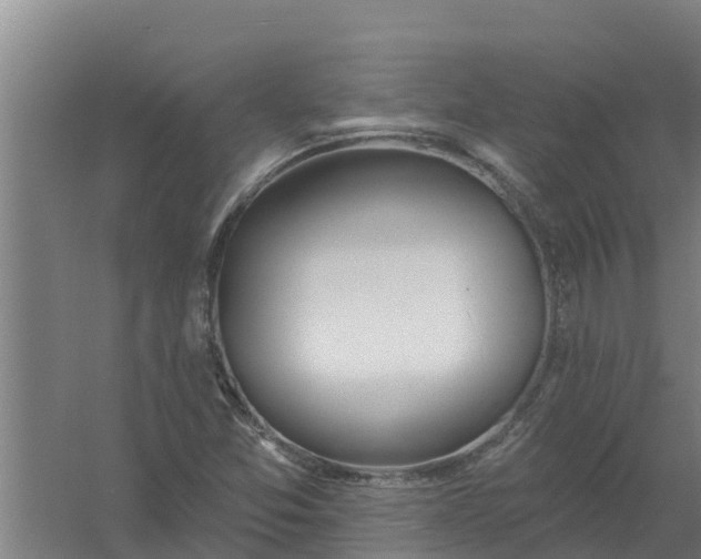 X0000059821357200511041709