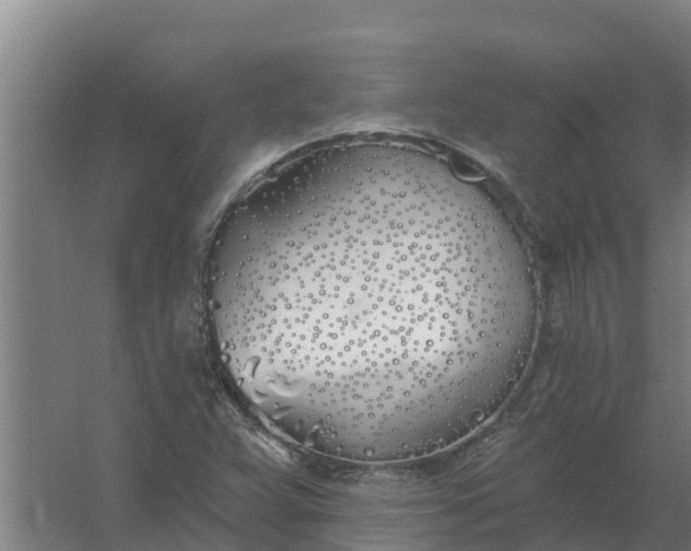 X0000059821359200511041709