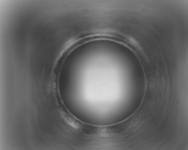 X0000059821360200511041709