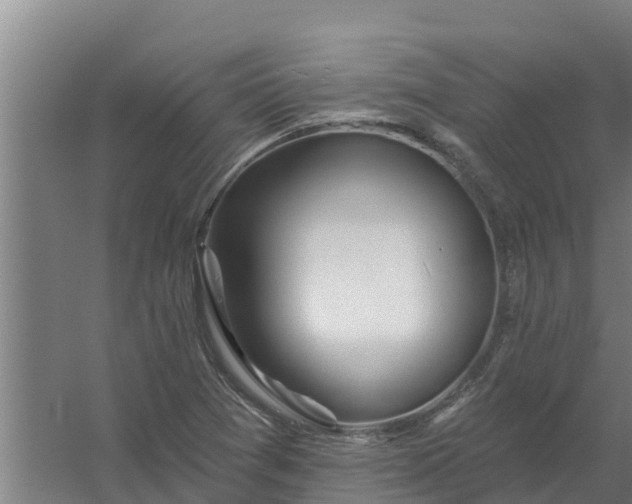 X0000059821361200511041709