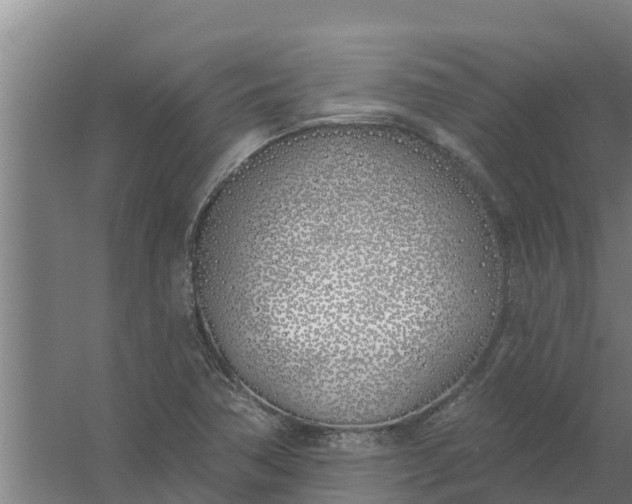 X0000059821362200511041709