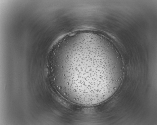 X0000059821363200511041708