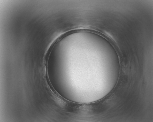 X0000059821368200511041708