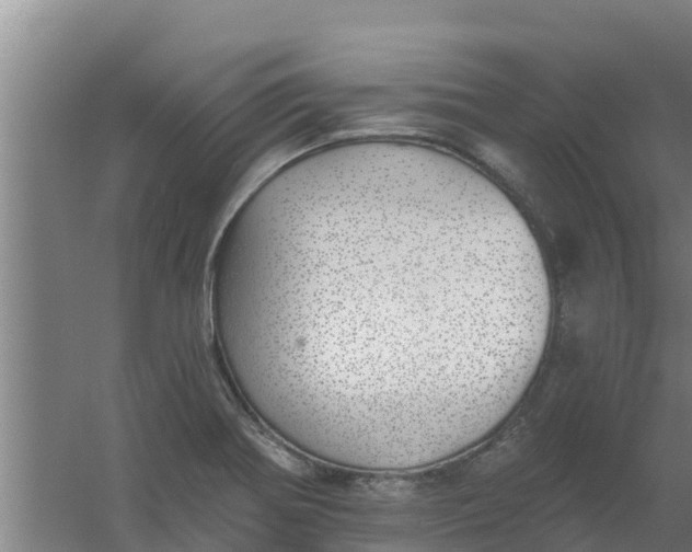 X0000059821370200511041708