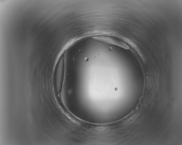 X0000059821373200511041708