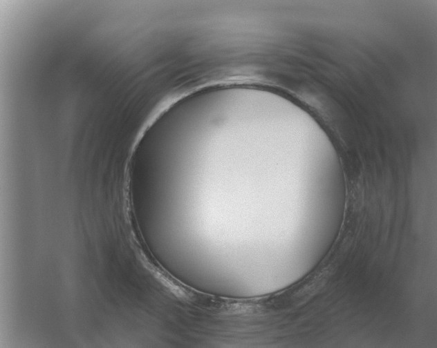 X0000059821374200511041708