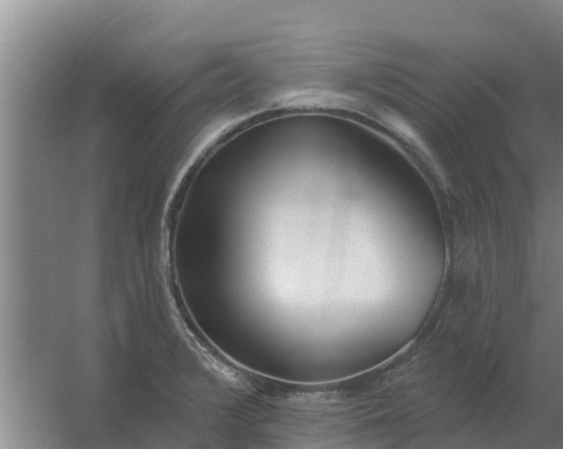 X0000059821376200511041708