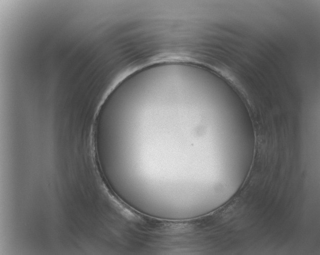 X0000059821382200511041708