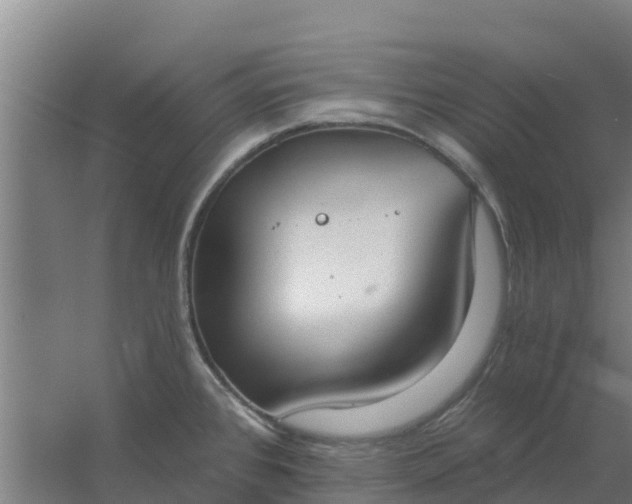 X0000059821384200511041708