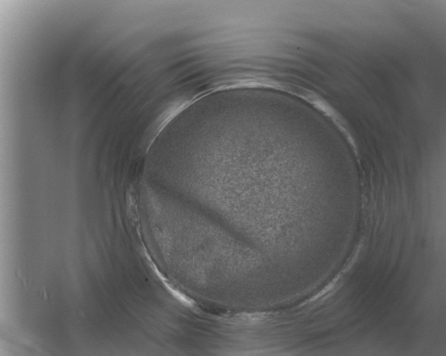 X0000059821385200511041708