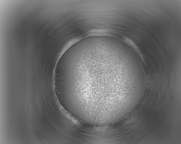 X0000059821386200511041708