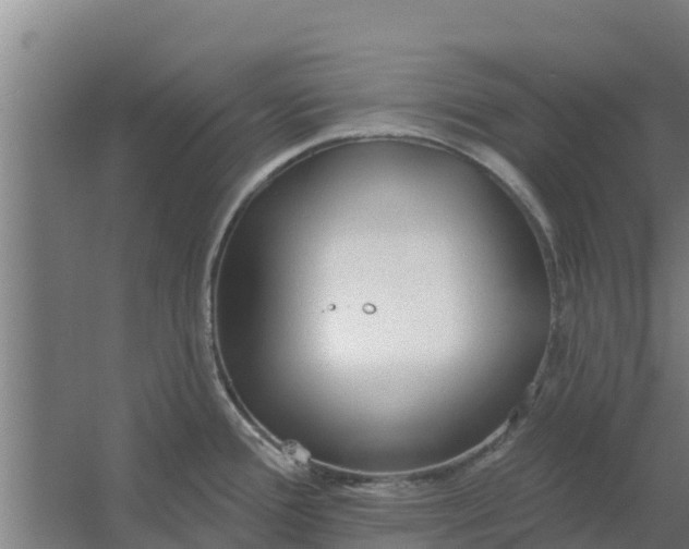 X0000059821388200511041708