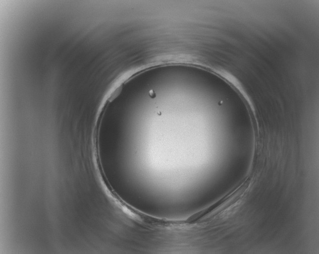 X0000059821389200511041708