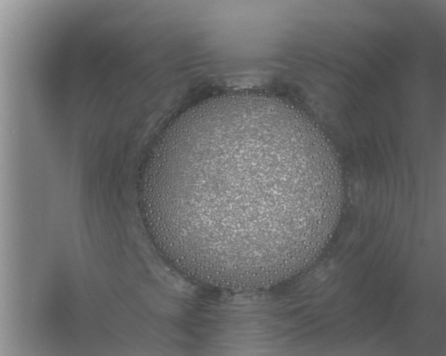 X0000059821393200511041707