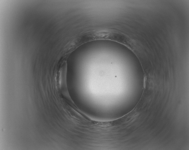 X0000059821394200511041707