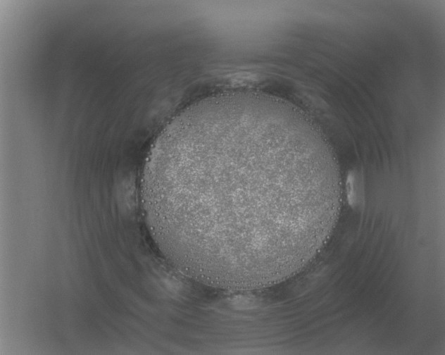 X0000059821395200511041707