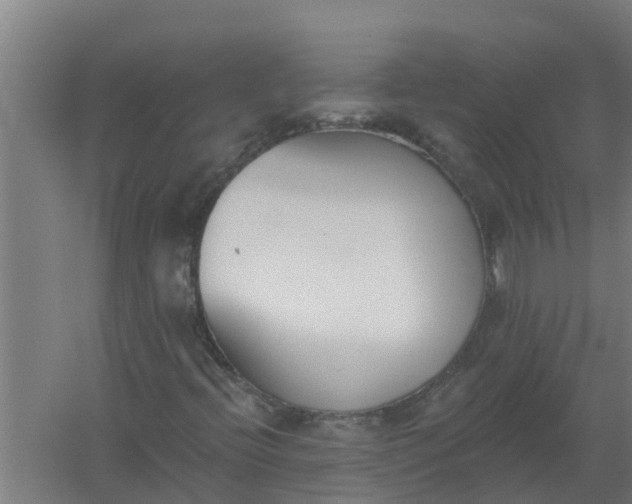 X0000059821396200511041707