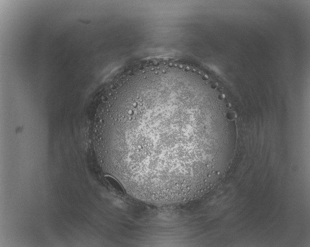 X0000059821399200511041707