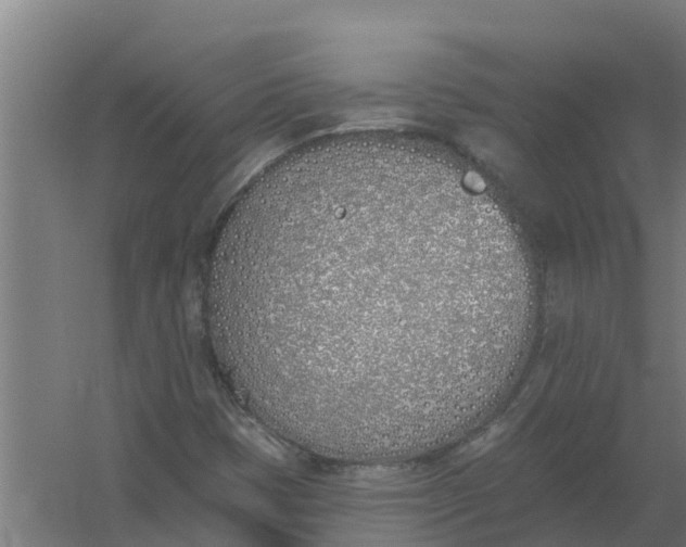 X0000059821401200511041707