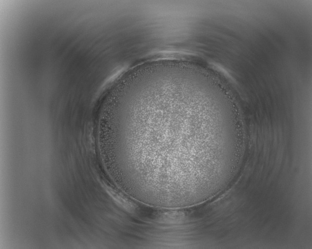 X0000059821403200511041707