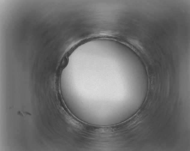 X0000059821404200511041707