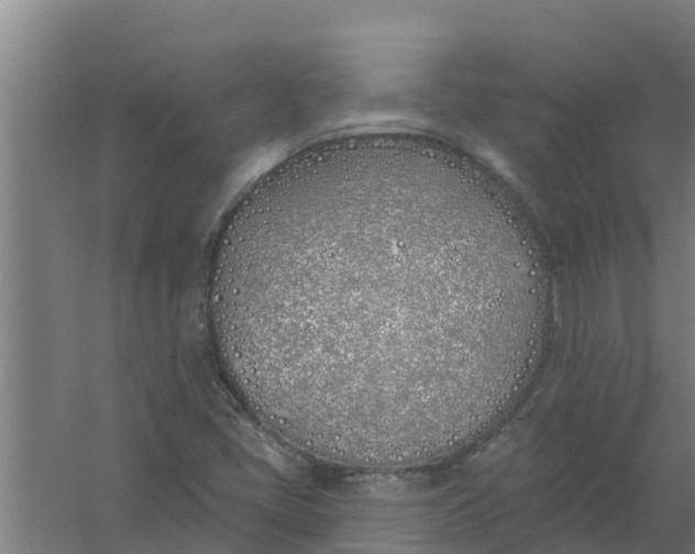 X0000059821405200511041707