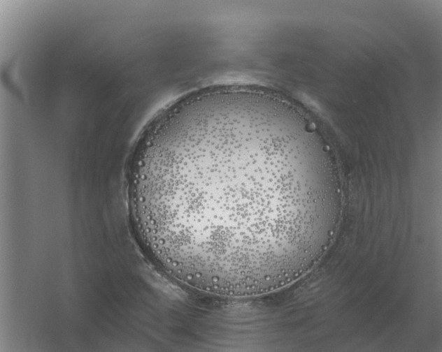 X0000059821408200511041707