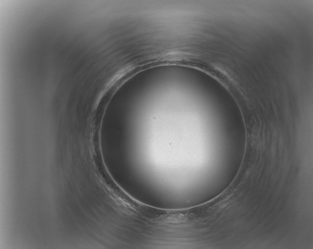 X0000059821410200511041707