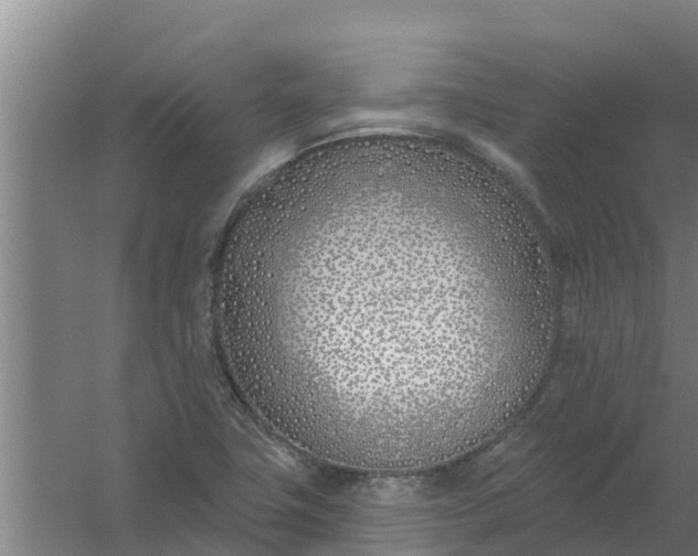 X0000059821411200511041707