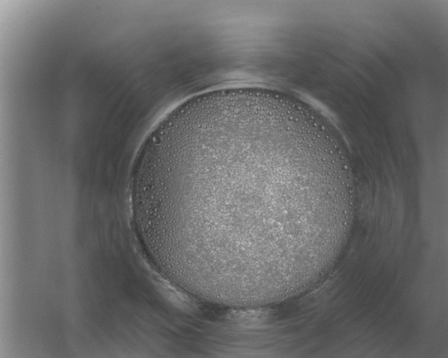 X0000059821415200511041708